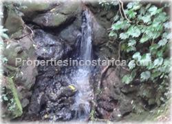 Heredia for sale, mountain home, Heredia real estate, jacuzzi, large, forest, park, horse stables, lots, paradise, waterfalls, fish ponds, bridges, valley view, natural, grand estate, Costa Rica mountain, 1475