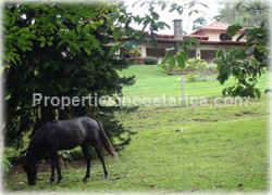 Heredia for sale, mountain home, Heredia real estate, jacuzzi, large, forest, park, horse stables, lots, paradise, waterfalls, fish ponds, bridges, valley view, natural, grand estate, Costa Rica mountain, 1475