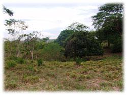 costa rica small farm for sale