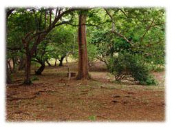 Real estate in Costa Rica Farms For Sale