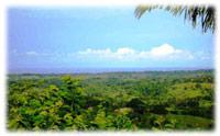 Costa Rica Real Estate