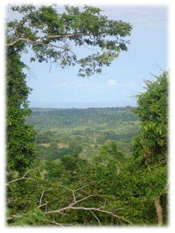 Estates in Costa Rica