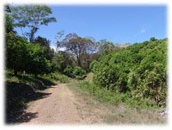 Costa Rica farm inTambor For Sale