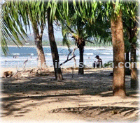 Tamarindo beachfront property plus an amazing treehouse