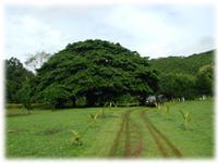 Investment opportunity in the Pacific Coast (Hotel land in Puntarenas) 
