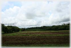 Costa Rica real estate, farms for sale, costa rica farm, lemon, fruit, trees, acreage, hectares, land, 1905