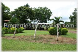 Costa Rica real estate, farms for sale, costa rica farm, lemon, fruit, trees, acreage, hectares, land, 1905