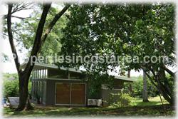 Costa Rica real estate, farms for sale, costa rica farm, lemon, fruit, trees, acreage, hectares, land, 1905