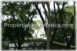 Costa Rica real estate, farms for sale, costa rica farm, lemon, fruit, trees, acreage, hectares, land, 1905