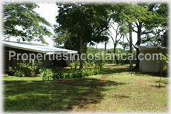Costa Rica real estate, farms for sale, costa rica farm, lemon, fruit, trees, acreage, hectares, land, 1905