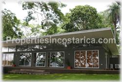 Costa Rica real estate, farms for sale, costa rica farm, lemon, fruit, trees, acreage, hectares, land, 1905