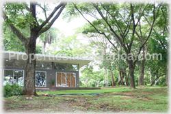 Costa Rica real estate, farms for sale, costa rica farm, lemon, fruit, trees, acreage, hectares, land, 1905