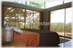 Costa Rica real estate, farms for sale, costa rica farm, lemon, fruit, trees, acreage, hectares, land, 1905
