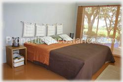 Costa Rica real estate, farms for sale, costa rica farm, lemon, fruit, trees, acreage, hectares, land, 1905