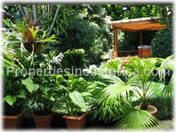 East San Jose, East side, San Pedro, downtown, garden, office, embassy, organization, international, security, privacy, the best, 1592