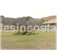 Costa Rica Real Estate