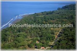 Costa Rica beach for sale, land for sale, South Pacific real estate, Puntarenas best, Puntarenas real estate, investment opportunity, fire sale, price upon request, whales, dolphins, parrots, wildlife, flora, fauna, unique, beachfront, airport, town, 25