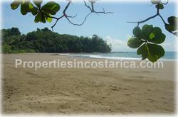 Costa Rica beach for sale, land for sale, South Pacific real estate, Puntarenas best, Puntarenas real estate, investment opportunity, fire sale, price upon request, whales, dolphins, parrots, wildlife, flora, fauna, unique, beachfront, airport, town, 25