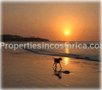 The Tamarindo Golden Beach Right At Your Front Yard!