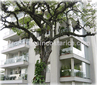 Three Bedroom Luxury Country Club Condo With Maid's Quarters