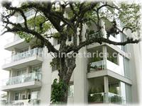 Three Bedroom Luxury Country Club Condo With Maid's Quarters