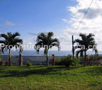 Real Estate in Costa Rica