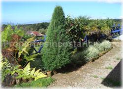 Heredia for sale, Heredia mountain home, valley view, green areas, community, location, 1625