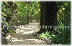 Hotel for sale, Nosara hotels, Costa Rica hotel for sale, investment, fishing, beach, Guanacaste real estate, Nicoya, 1569