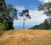 Private and Secure Coastal Lot with Horizon Sunset Views