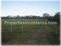 Guanacaste real estate, costa rica, for sale, land, terrain, development, investment, opportunity, 1901