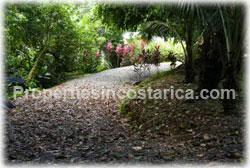 Costa Rica real estate, for sale, Dominical Costa Rica, Ocean view house, rainforest, panoramic views, wildlife, pacific ocean