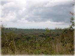 Costa Rica land, land in Guanacaste, investment opportunity, Guanacaste hectares, acres, location, 1609