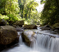 Own Your Very Own 1400 Acre National Park in Costa Rica!