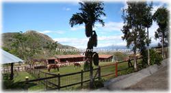 Santa Ana, horse property, equine center, equine property, Costa Rica equine, for sale, pool, furnished, country home, unique, 1600