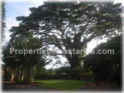 jungle home, for sale , manuel antonio real estate, quepos,1660
