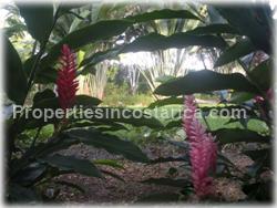 jungle home, for sale , manuel antonio real estate, quepos,1660