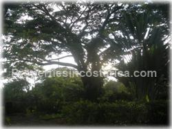 jungle home, for sale , manuel antonio real estate, quepos,1660