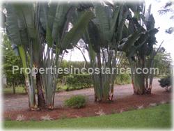 jungle home, for sale , manuel antonio real estate, quepos,1660