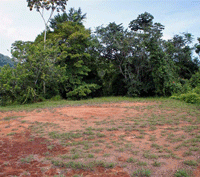 A Property for the Discerning Collector