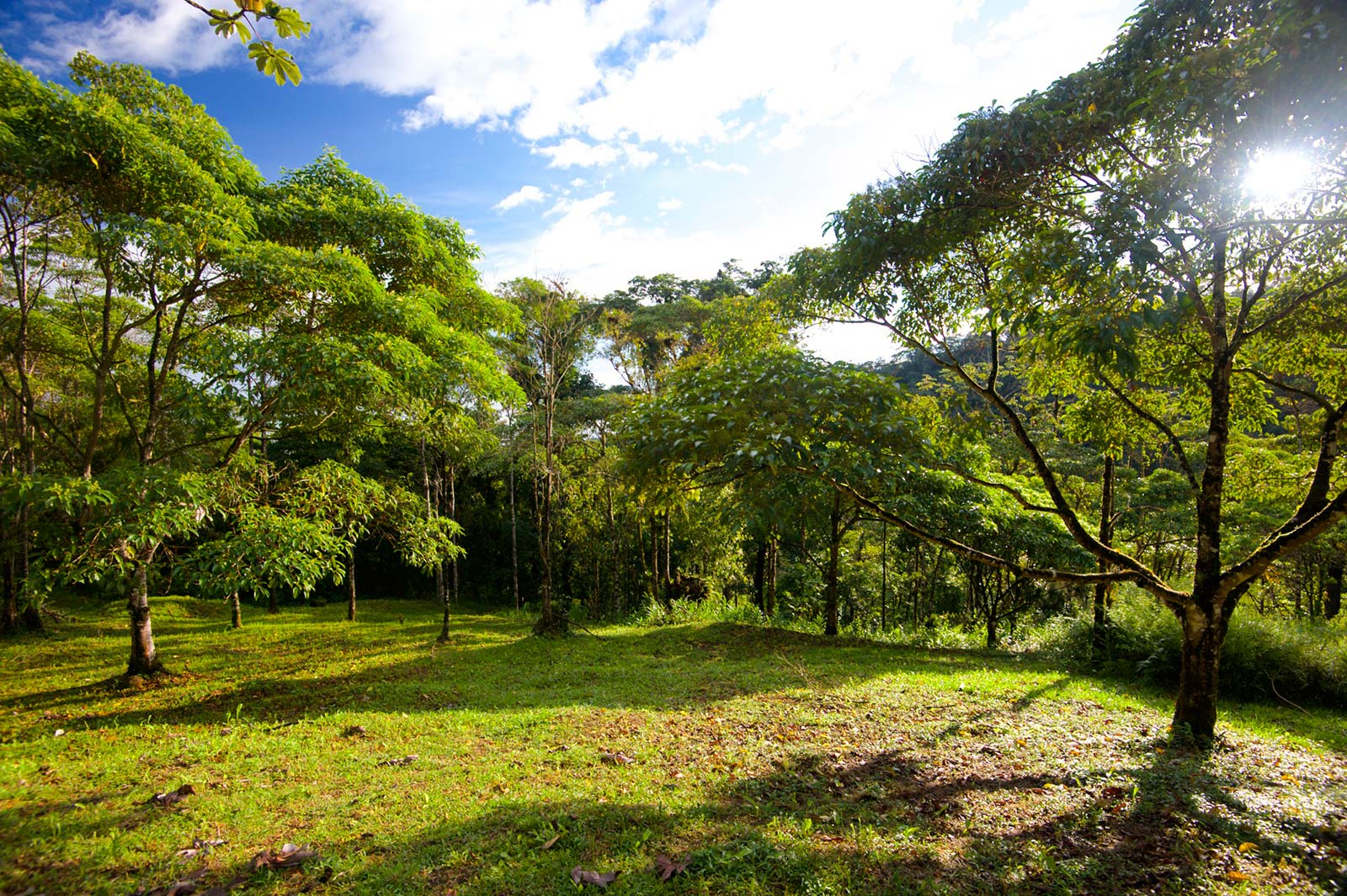 Rainy Season is Approaching Costa Rica