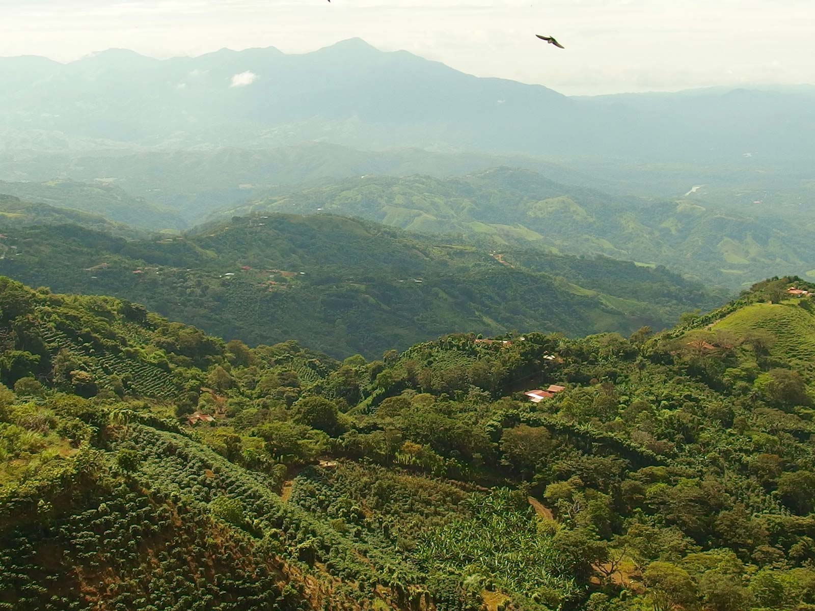 Costa Rica’s Charming Central Valley