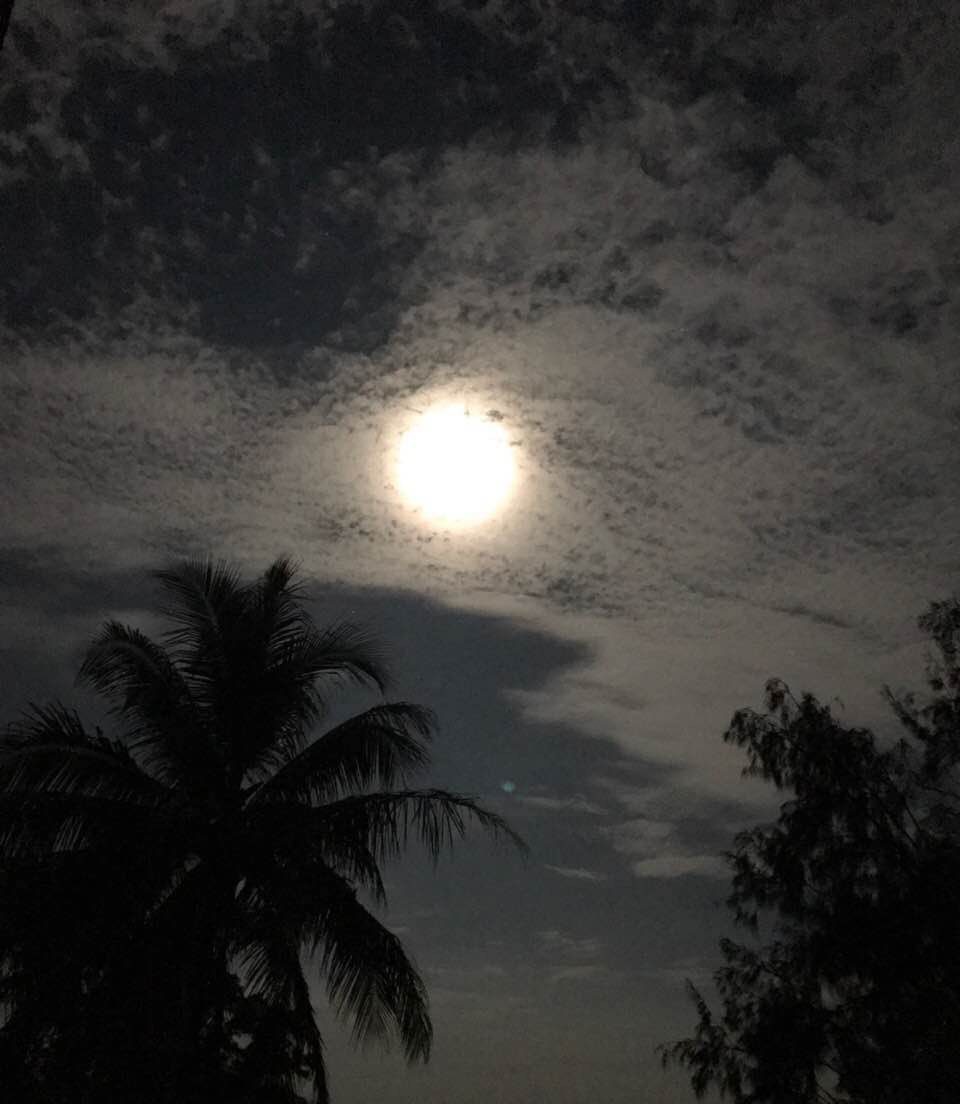 Full Moon nights at Cabo Velas, Guanacaste!