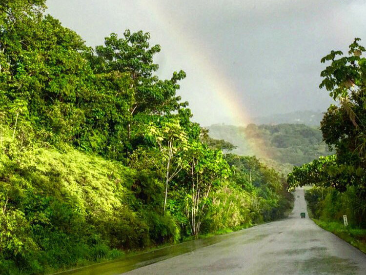 The Rainy Season… Our Favorite Time Of The Year