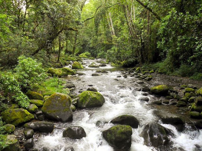 Savegre River May be Costa Rica’s Next UNESCO Biosphere Reserve