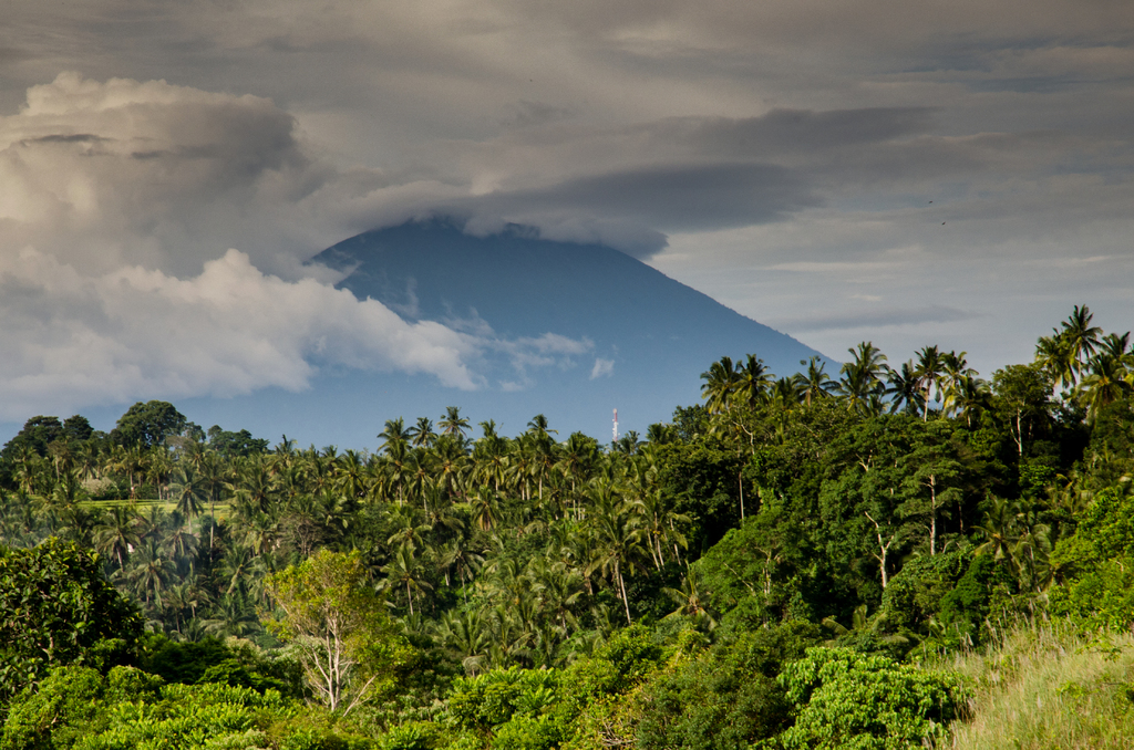 Facing Climate Change in Costa Rica