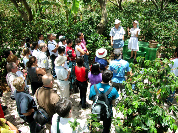 Explore Beaches and Mountains in Costa Rica