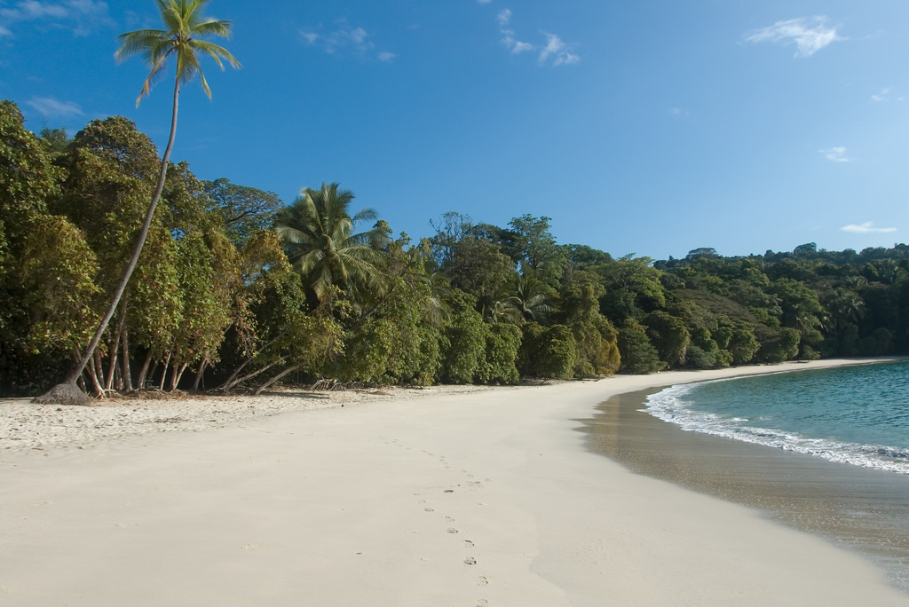 A Complete Guide to Manuel Antonio