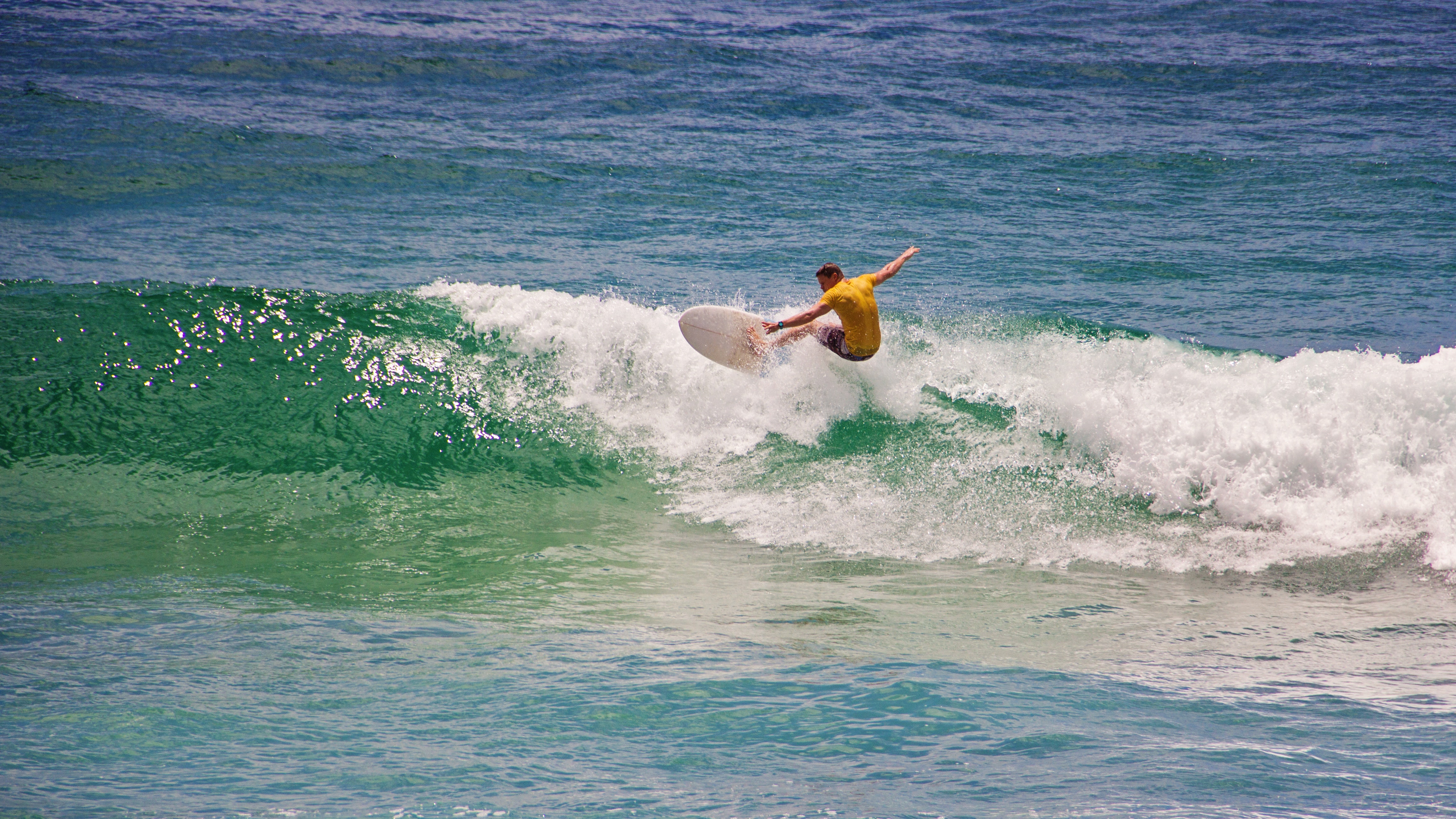 Surfers