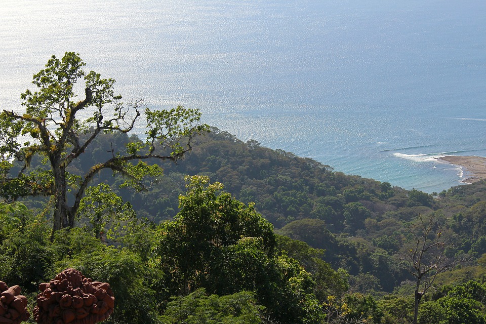 A PURA VIDA VACATION!