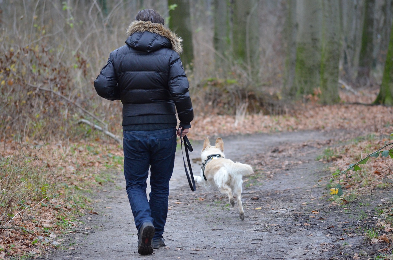 Up to 1,5 km hiking for your dogs and a great opportunity to help out and adopt a dog.